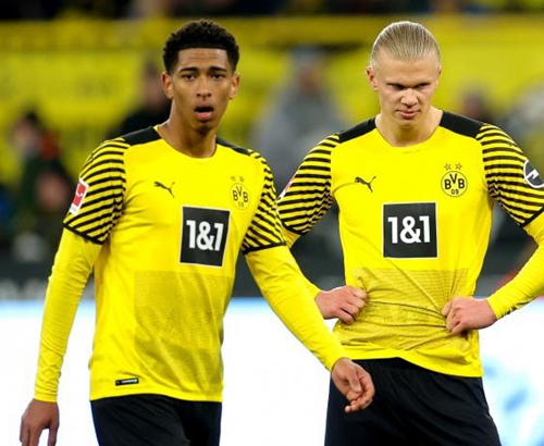 季后赛的蒙 季后赛的蒙